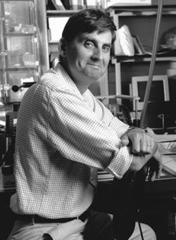 Prof. Jesus del Alamo