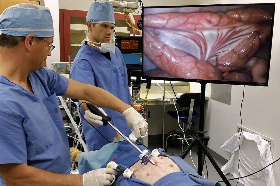 Surgeon John Langell (left) and Spencer Madsen (center) operate on a pig using the Xenoscope,... Surgeon John Langell (left) and Spencer Madsen (center) operate on a pig using the Xenoscope, a laparoscope that relays images to a high-definition video screen or to an ordinary laptop or smartphone.